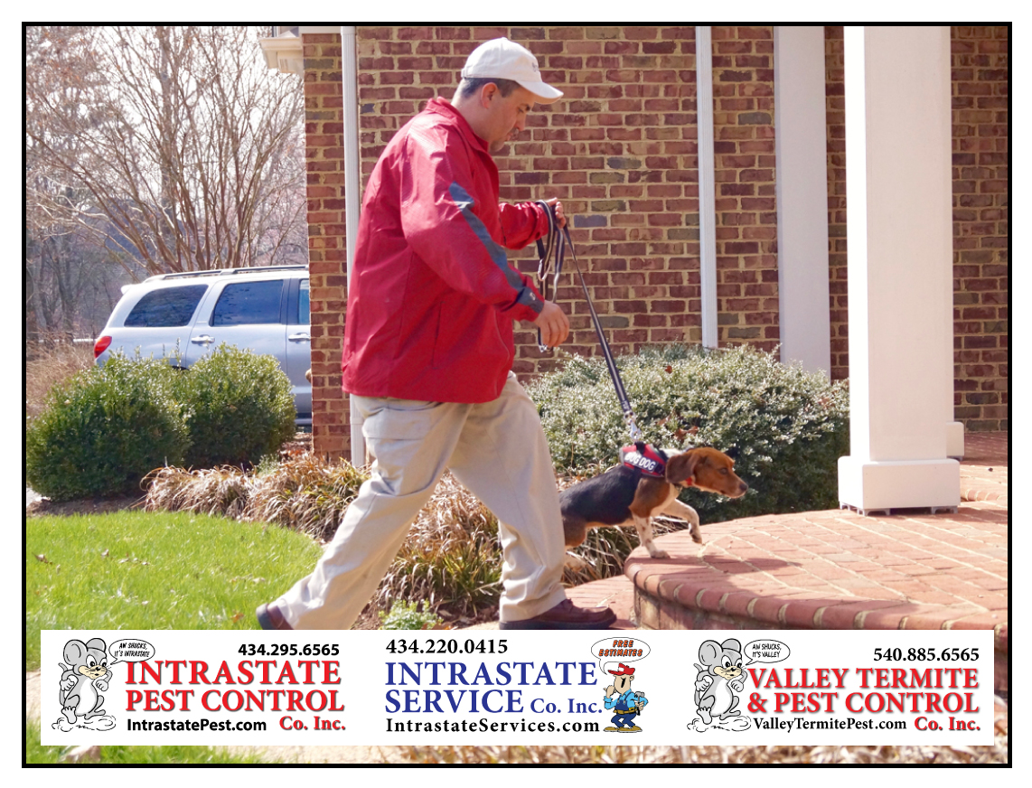 Stop The Bed Bugs From Biting In Charlottesville & Central Virginia! Intrastate Services