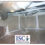 Crawl Spaces Are A Leading Source Of Mold In Your Home